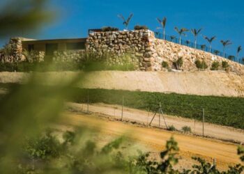 Caballo Español gana una medalla de plata en Decanter, la competición vinícola más prestigiosa del mundo