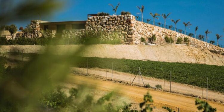 Caballo Español gana una medalla de plata en Decanter, la competición vinícola más prestigiosa del mundo