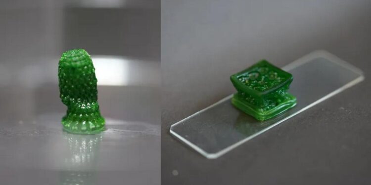 Crean un material fotosintético ‘vivo’ que absorbe CO2 de la atmósfera