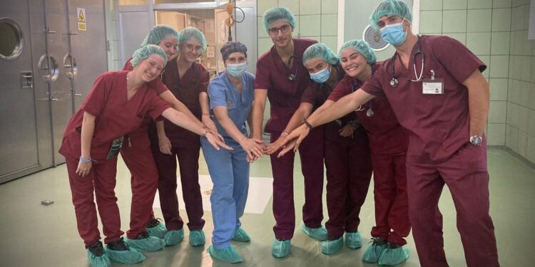 Veterinarios de la Universidad Complutense implantan por primera vez un marcapasos a un caballo