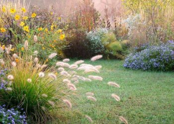 Para los alérgicos: descubre como consultar desde tu móvil el nivel de polen en Arganzuela