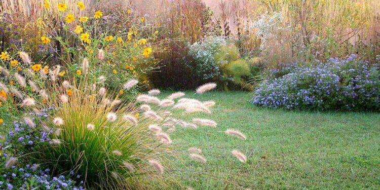 Para los alérgicos: descubre como consultar desde tu móvil el nivel de polen en Arganzuela