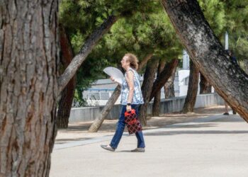 Cielos despejados y subida de temperaturas: esta es la previsión de Aemet para la Comunidad de Madrid este domingo