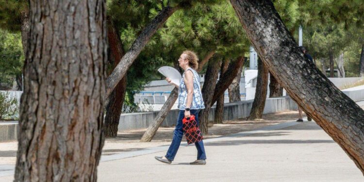 Cielos despejados y subida de temperaturas: esta es la previsión de Aemet para la Comunidad de Madrid este domingo