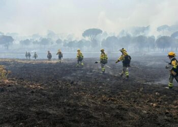 La Comunidad de Madrid retira sus medios en el fuego de San Bartolomé de Pinares (Ávila) por evolución favorable