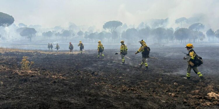 La Comunidad de Madrid retira sus medios en el fuego de San Bartolomé de Pinares (Ávila) por evolución favorable
