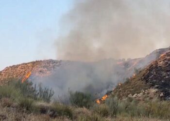 El 75% de los incendios forestales este verano en la Comunidad de Madrid se quedaron en conatos