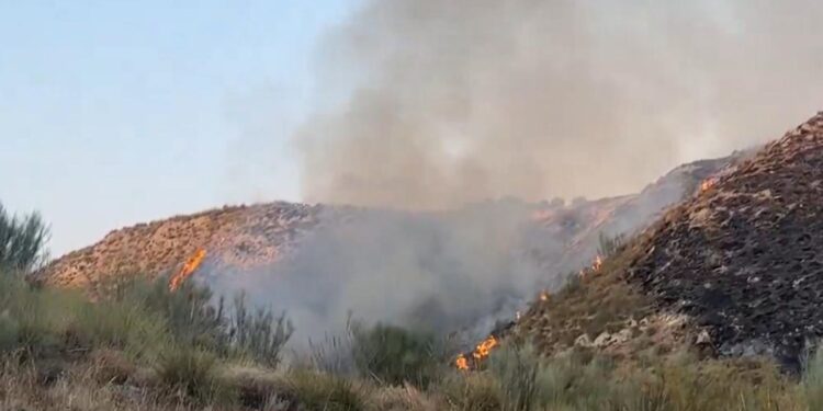 El 75% de los incendios forestales este verano en la Comunidad de Madrid se quedaron en conatos