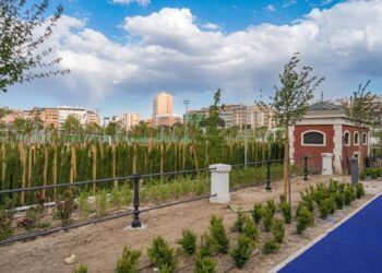 El desconocido parque en el centro de Madrid que se ha convertido en un refugio contra el calor para sus ciudadanos: ¿lo conoces?