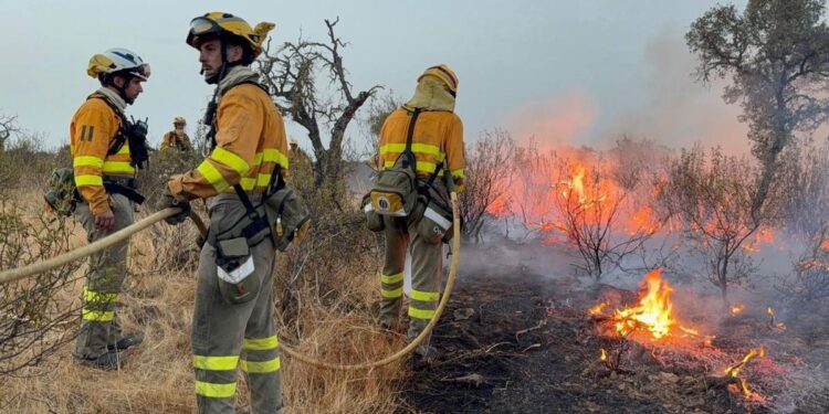 Última hora de los incendios en España, en directo | Sánchez visitará este martes las zonas de Cáceres y de Zamora afectadas por los incendios de Jarilla y Molezuelas