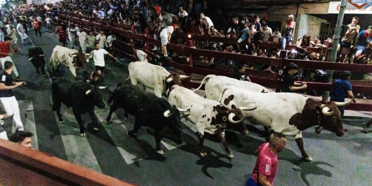 Los 500 años de historia de los encierros de San Sebastián de los Reyes, ‘La Pamplona chica’