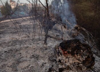 El fallecido en el incendio de Tres Cantos trabajaba en una hípica de Soto de Viñuelas