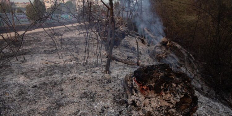 El fallecido en el incendio de Tres Cantos trabajaba en una hípica de Soto de Viñuelas