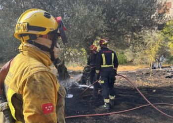 Controlado un incendio en San Martín de Valdeiglesias frenando su propagación a una zona industrial