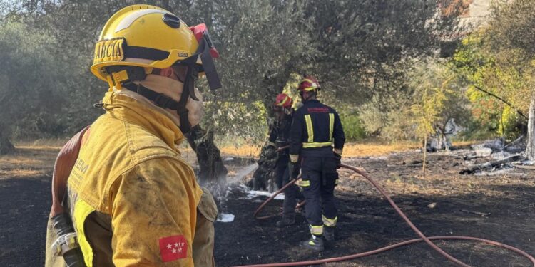 Controlado un incendio en San Martín de Valdeiglesias frenando su propagación a una zona industrial