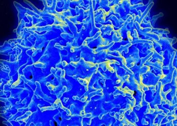 Una vacuna contra el cáncer pasa con éxito los primeros ensayos clínicos