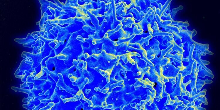 Una vacuna contra el cáncer pasa con éxito los primeros ensayos clínicos