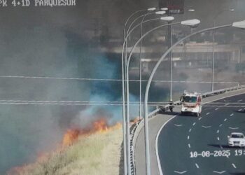 Un incendio de vegetación en el km 5 de la M-45 complica la circulación y moviliza a los servicios de emergencia