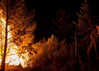 Última hora de los incendios en España, en directo | Avance ‘descontrolado’ del incendio de Zamora y nuevo fuego en Lugo