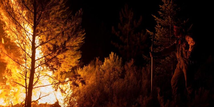 Última hora de los incendios en España, en directo | Avance ‘descontrolado’ del incendio de Zamora y nuevo fuego en Lugo