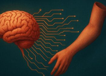 El cerebro nunca olvida a un miembro amputado