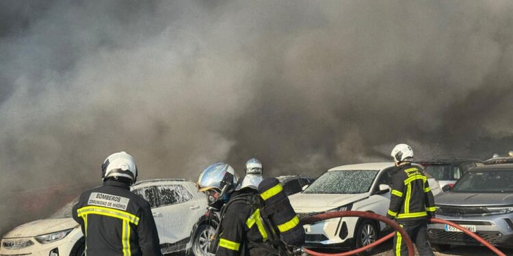 Cuatro detenidos como presuntos autores de más de 10 incendios en julio en la región