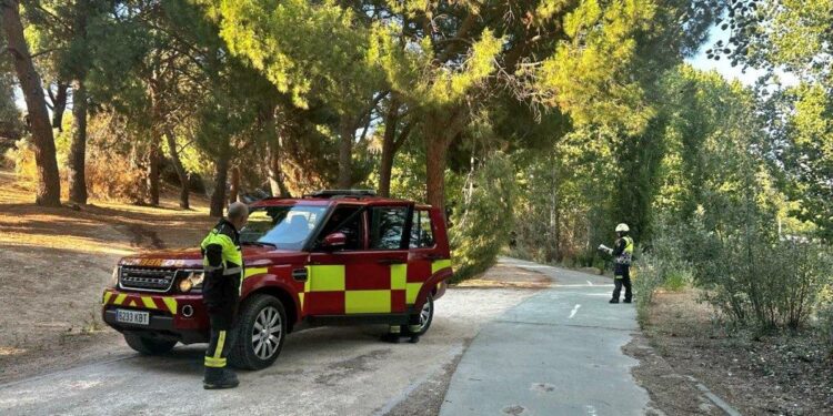 ¿Cómo avanzan los incendios forestales en Madrid? Consulta el mapa con los últimos fuegos activos en la capital
