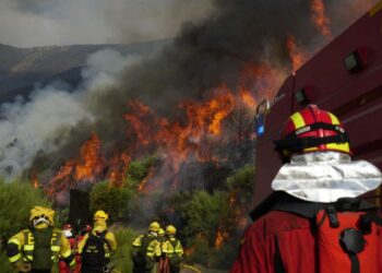 Última hora de los incendios en España, en directo | El viento dificulta la extinción de las llamas en Cáceres y León
