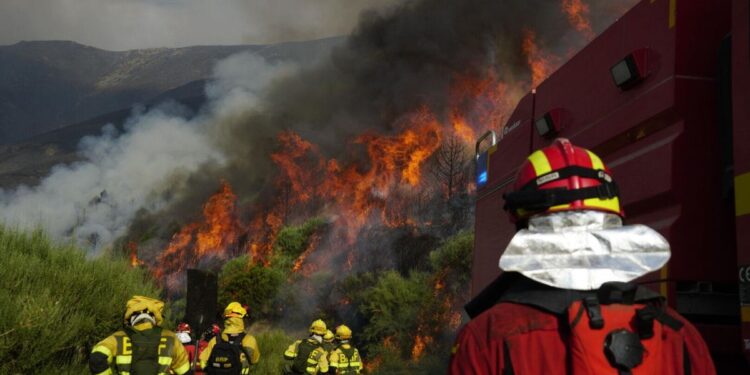 Última hora de los incendios en España, en directo | El viento dificulta la extinción de las llamas en Cáceres y León