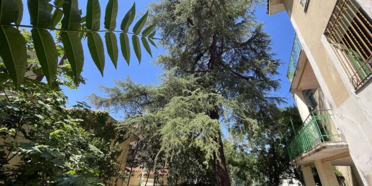 Miguel Poveda homenajeará a Vicente Aleixandre con un concierto en Velintonia