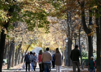 Los parques de Madrid cerrarán a las seis de la tarde ante las fuertes rachas de viento