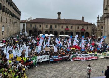 Miles de personas marchan en Santiago contra la gestión de la Xunta de los incendios