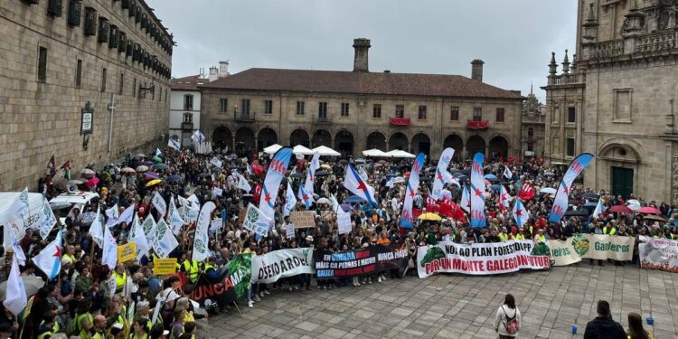 Miles de personas marchan en Santiago contra la gestión de la Xunta de los incendios