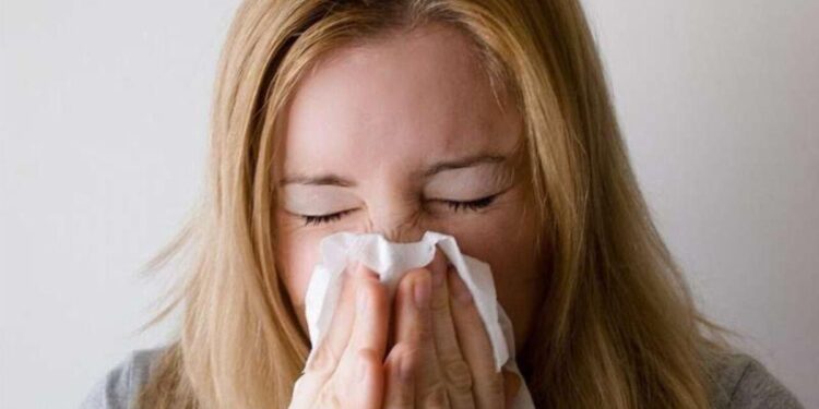 ¿Terapia universal contra la gripe? Un nuevo cóctel de anticuerpos detiene múltiples cepas de la enfermedad