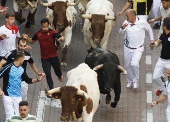 Nueve heridos en el último encierro de San Sebastián de los Reyes, uno por cornada de cabestro y otro por golpe