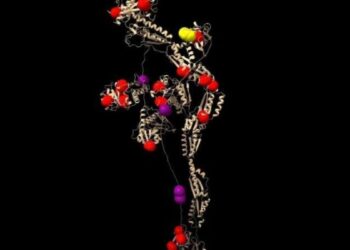 Desvelan un sistema de mensajería molecular que trabaja en paralelo al ADN