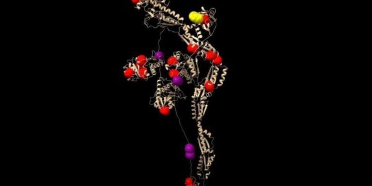 Desvelan un sistema de mensajería molecular que trabaja en paralelo al ADN