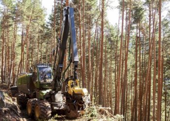 La Comunidad de Madrid explotará la madera de montes públicos para prevenir incendios e ingresar cuatro millones de euros