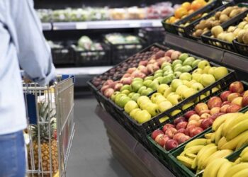 Este municipio de Madrid regala 3.000 bonos de 5 euros para gastar en comercio y hostelería: así puedes descargarlos