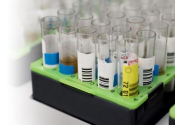 Madrid detecta el primer contagio autóctono de la variante más grave de la viruela del mono