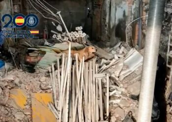 Así han trabajado los guías caninos en la búsqueda de los desaparecidos del edificio derrumbado en Madrid