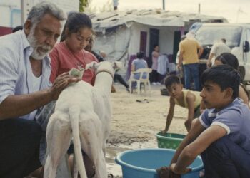 Gran emoción en la Cañada Real ante la película de Guillermo Galoe premiada en Cannes