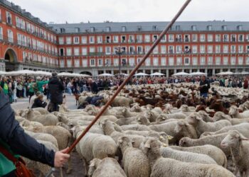 Cortes de tráfico previstos en Madrid por la Fiesta de la Trashumancia 2025