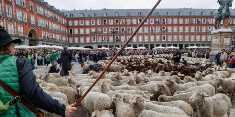 Cortes de tráfico previstos en Madrid por la Fiesta de la Trashumancia 2025