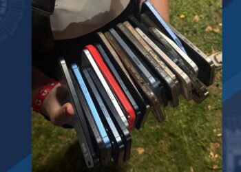 Dos detenidos por robar 21 móviles en el festival Jardín de las Delicias