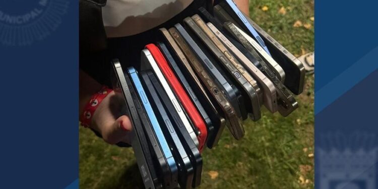 Dos detenidos por robar 21 móviles en el festival Jardín de las Delicias