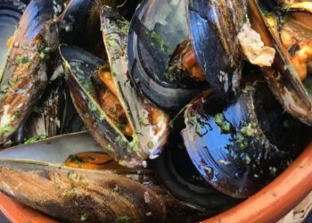 De las bateas de Cambados a las mesas madrileñas: el viaje del mejillón