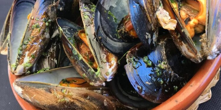 De las bateas de Cambados a las mesas madrileñas: el viaje del mejillón
