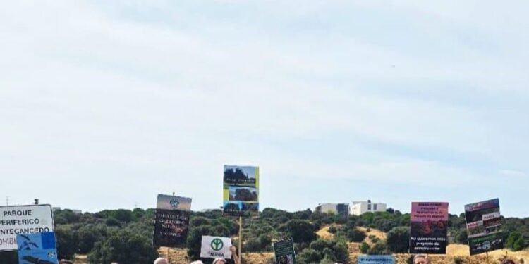 El PSOE pone fin a su batalla judicial contra Montegancedo, el proyecto de 1.000 viviendas en Pozuelo