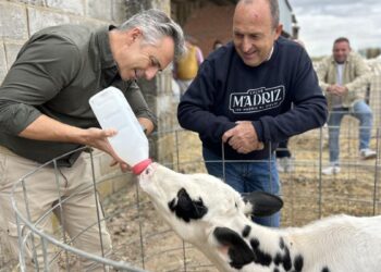 Madrid aumenta un 29% las explotaciones de vacuno de leche en cuatro años
